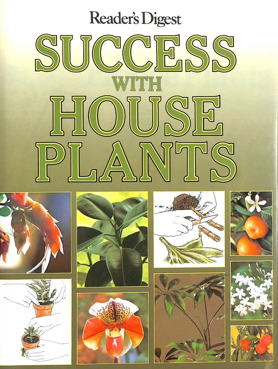 Success with House Plants