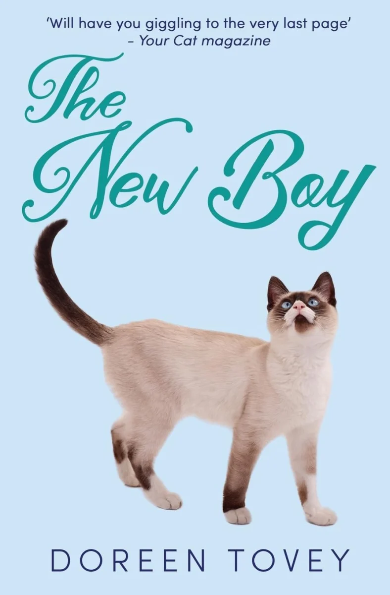 The New Boy: 5 (Feline Frolics)