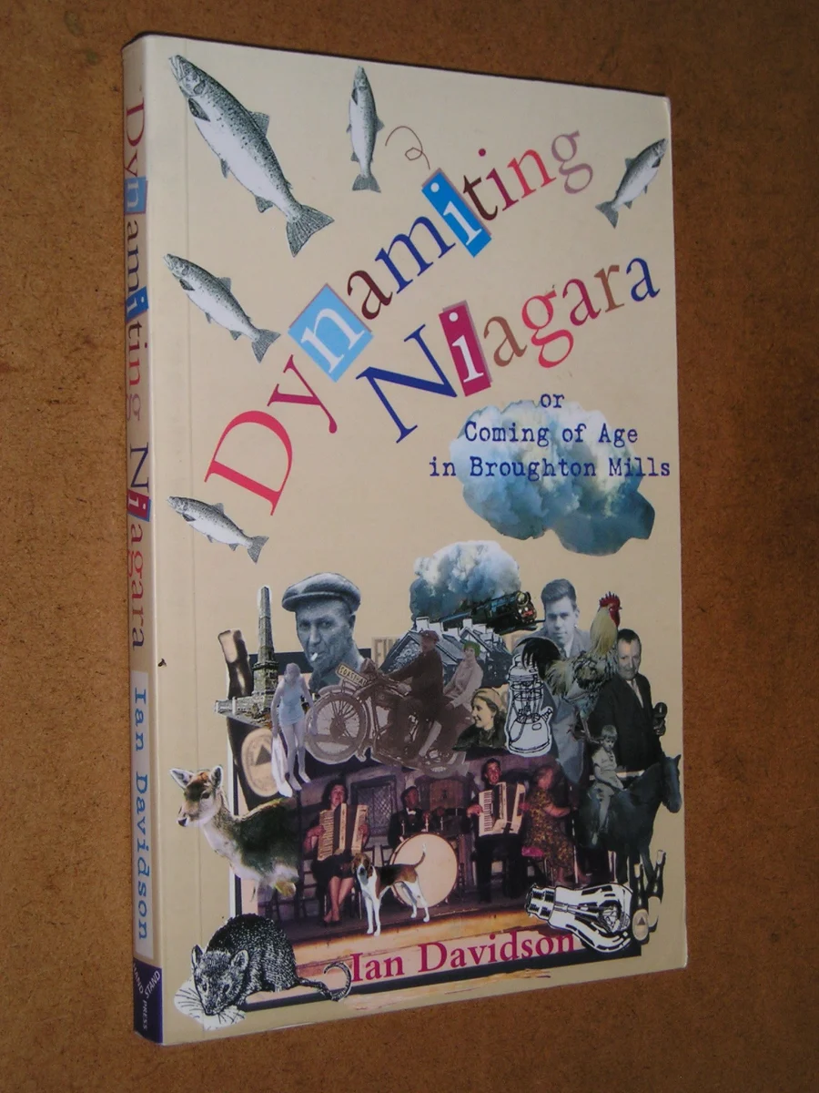 dynamiting niagara or coming of age in broughton mills