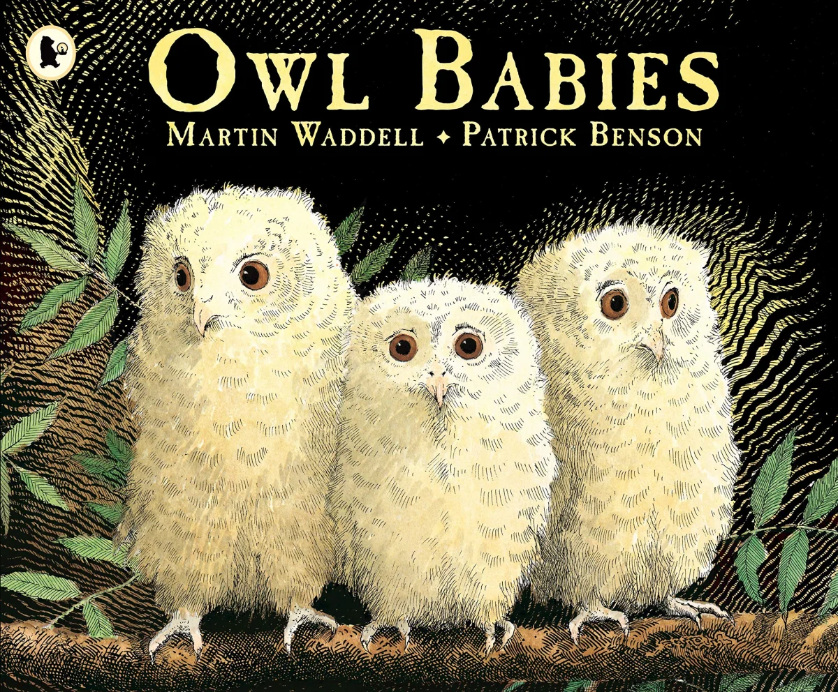 Owl Babies: Over two million copies sold - a heartwarming bedtime picture book story that comforts and reassures - also the perfect gift for toddlers and new parents