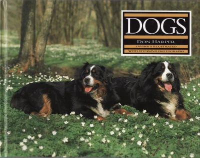 Dogs
