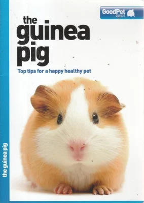 The Guinea Pig - Good Pet Guide