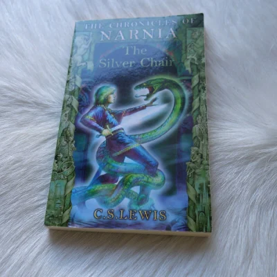 The Silver Chair (The Chronicles Of Narnia Book 6)