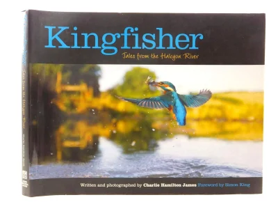 Kingfisher: Tales from the Halcyon River